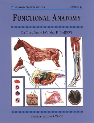 Functional Anatomy book