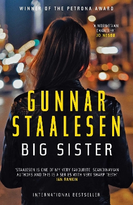 Big Sister book