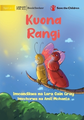 Seeing Colours - Kuona Rangi book