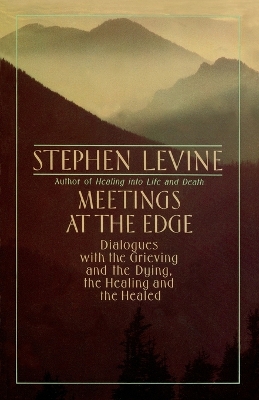 Meetings at the Edge book