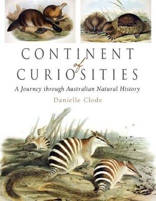 Continent of Curiosities book