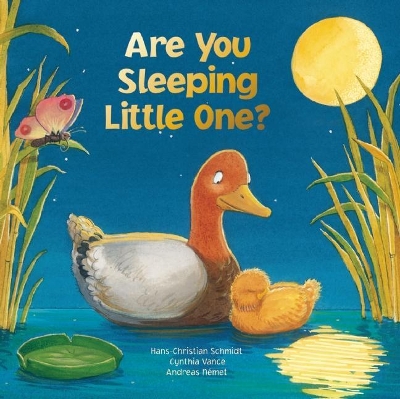 Are You Sleeping Little One? book