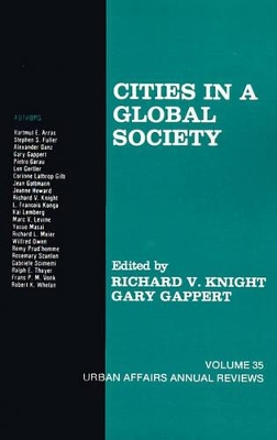 Cities in a Global Society book