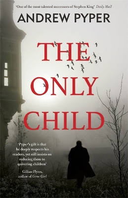 Only Child book