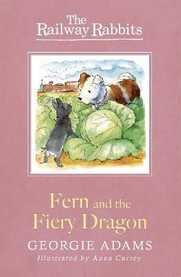 Railway Rabbits: Fern and the Fiery Dragon book