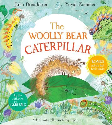 The Woolly Bear Caterpillar by Julia Donaldson