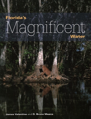 Florida's Magnificent Water book