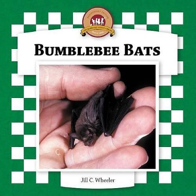 Bumblebee Bats by Jill C Wheeler