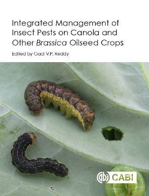 Integrated Management of Insect Pests on Canola and Other Brassica Oilseed Crop by Gadi V P Reddy