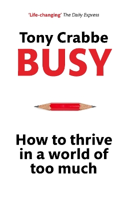 Busy book