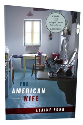 American Wife book