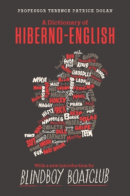 A Dictionary of Hiberno English book