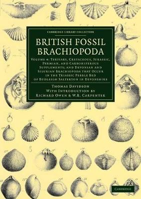 British Fossil Brachiopoda by Thomas Davidson