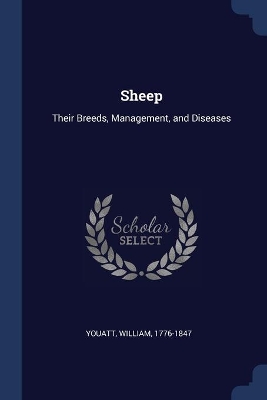 Sheep by William Youatt