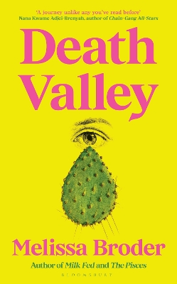 Death Valley book