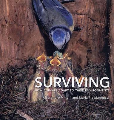 Surviving book