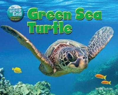 Green Sea Turtle book