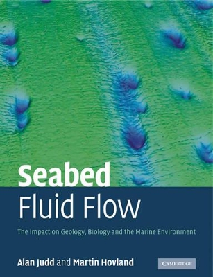 Seabed Fluid Flow book