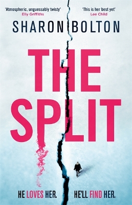 The Split: A chilling, pulse-racing, emotionally-charged thriller about a woman on the run from the man she loves... book