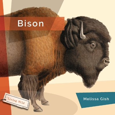 Bison by Melissa Gish