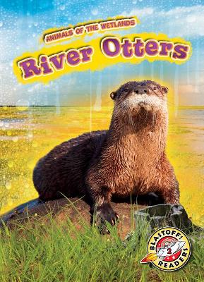 River Otters book