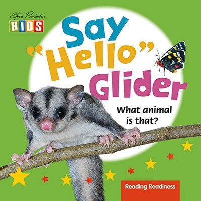 Say Hello Glider book