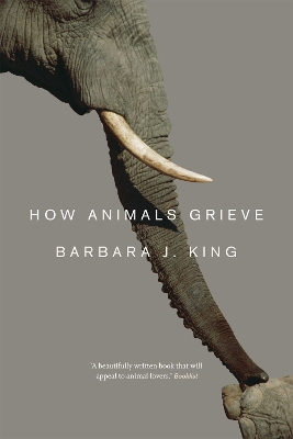 How Animals Grieve by Barbara J. King