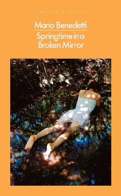 Springtime in a Broken Mirror book