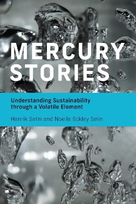 Mercury Stories book