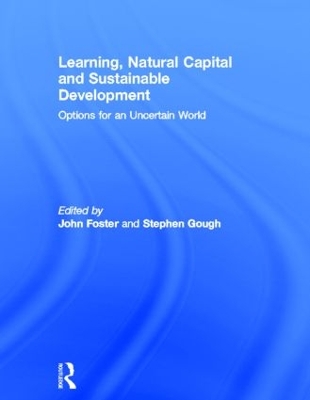 Learning, Natural Capital and Sustainable Development by John Foster