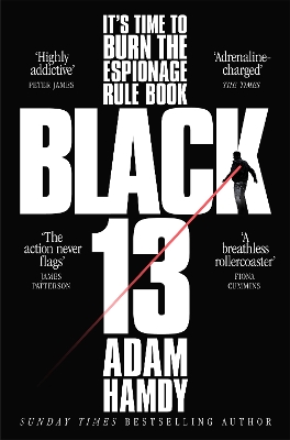 Black 13 book