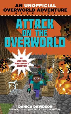 Attack on the Overworld book