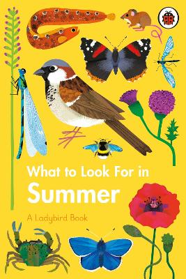 What to Look For in Summer book