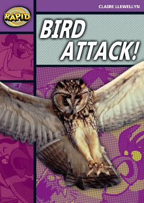 Rapid Stage 1 Level B: Bird Attack! (Series 2) book