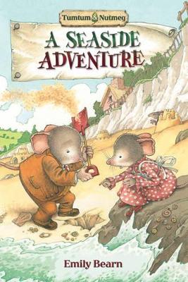 Tumtum and Nutmeg: A Seaside Adventure book