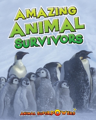 Amazing Animal Survivors by John Townsend