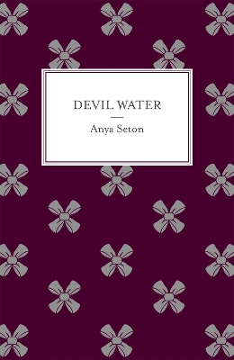 Devil Water book