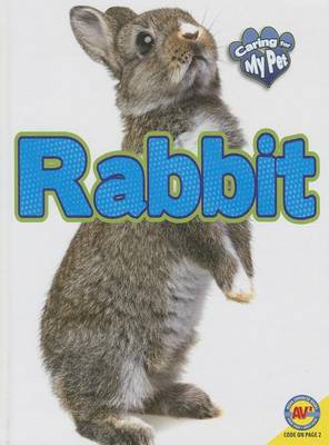 Rabbit by Jill Foran