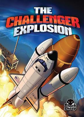 The Challenger Explosion by Adam Stone
