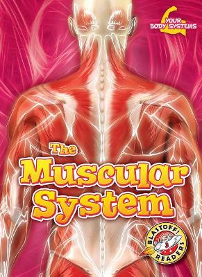 The Muscular System book