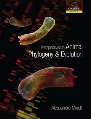 Perspectives in Animal Phylogeny and Evolution by Alessandro Minelli