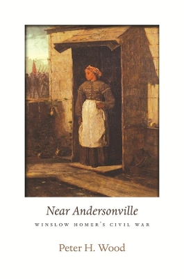 Near Andersonville book