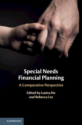 Special Needs Financial Planning: A Comparative Perspective by Lusina Ho