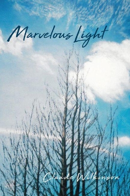 Marvelous Light book