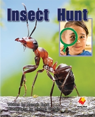 Insect Hunt book