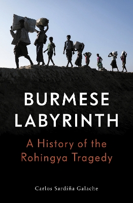 The Burmese Labyrinth book