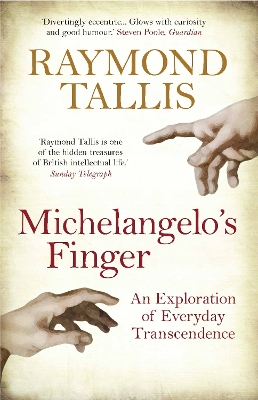 Michelangelo's Finger book