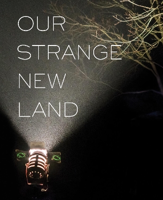 Our Strange New Land: Photographs from Narrative Movie Sets Across the South book