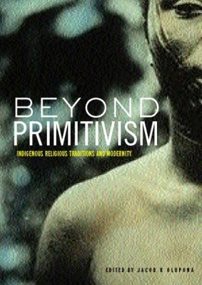 Beyond Primitivism book