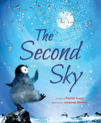 The Second Sky book